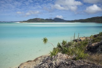 Sunny day at Whitehaven Beach near Hill Inlet, Whitsunday Island, Queensland, Australia