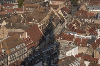 The stone balcony offers a view of the city of Strasbourg. Houses and buildings can be seen under a