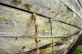 Close-up of weathered wooden planks of an old fish boat the hemp from the calfater is visible