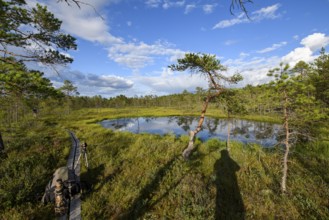 Moor lake surrounded by green vegetation under blue sky with clouds and a wooden path in the
