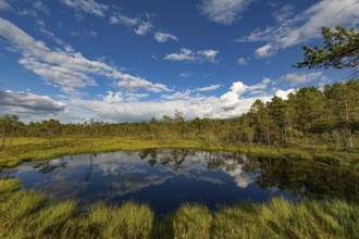 A dark blue moor lake with cloud reflection and wooded shore, Hällefors, Örebro län, Sweden