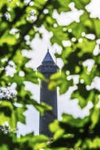 Waterloo Monument over Scottish fields and farms, Jedburgh, Scotland, UK