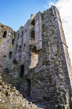 Ruins of Norham Castle and River Tweed, Norham, Northumberland, England, United Kingdom