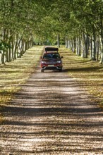 4x4 car trip with roof tent on the Scottish wilderness, Scotland, United Kingdom