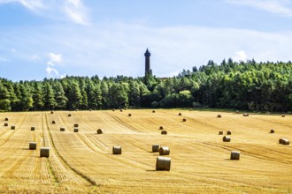 Straw bales in the Scottish fields, Southeast Scotland, UK