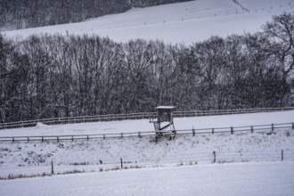 High seat, for hunters, in winter, near Oberelfringhausen in Elfringhauser Switzerland, near