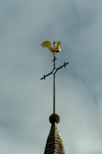 A gold rooster weather vane sits on top of a steeple with a blue sky background. The weather vane