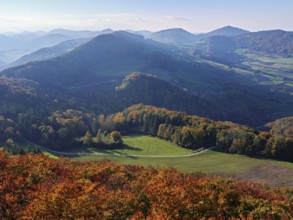 View of an autumnal forest from the Gisliflue, behind the Jurassic foothills with the Wasserfluh,