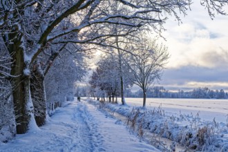The onset of winter with snow on the Lower Warwischer Wasserweg in Hamburg's Vier- und Marschlanden