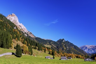 Autumn-colored forest, against mountain backdrop, Canton of Glarus, Switzerland