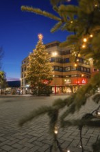 Christmas tree at night, festively lit, in front of a commercial building, Nagold, Calw district,