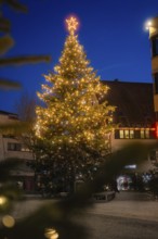 Large illuminated Christmas tree with glowing star in a twilight town, Nagold, Calw district, Black
