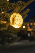Small pendant with inscription on an illuminated pine branch outdoors, Nagold, Calw district, Black