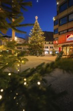 Christmas tree with lights on a town square in a festive evening atmosphere, Nagold, Calw district,