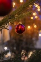 Red ball on a pine branch with reflection, against a glowing background, Nagold, Calw district,