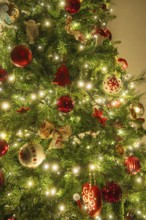 Christmas tree with red balls and lights, festive glow in warm light, Nagold, Calw district, Black