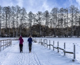 Athletes in winter in the midst of fields and fields in Berlin Lübars, Reinickendorf District,