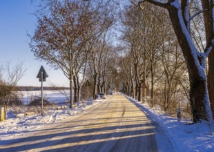 Landscape and country road in the historic district of Lübars, Berlin Reinickendorf, Germany