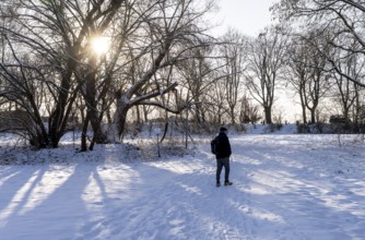Fresh snow in the city, hikers in winter in the middle of the fields in Berlin Lübars, a district