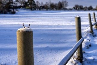 Detailed photo, concrete fence post on a field in Berlin-Lübars, Germany
