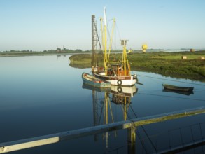 Emsfischereiboot, cutter, Diana, river, Ems, dammed up, flood, morning light, Terborg, East Frisia,