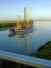 Emsfischereiboot, Kutter, Diana, Ems, dammed, Terborg, East Frisia, Germany