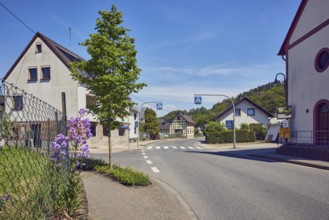 Residential building, historic half-timbered house, houses, general architecture, sidewalk,