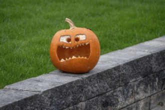 Carved pumpkin on a wall at Halloween, Franconia, Bavaria, Germany