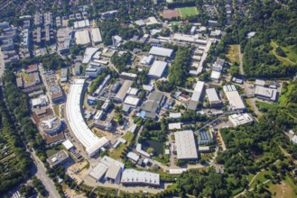 Deutsche Elektron Synchrotron, DESY, Research Center, Science, Matter, Accelerators, Photons,