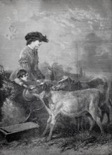 In the pasture, woman with her child walking in the countryside have passed by a pasture, curious