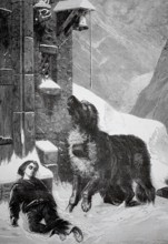 Saint Bernard, dog rescuing an unconscious child lying on church steps, 1880, Switzerland, A dog
