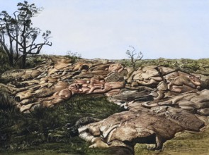 Kilauea lava flow, Hawaii, volcano, eruption from 1885, America, authentic reproduction of a school