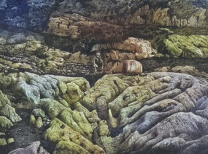 Karrenfeld Dachstein, fascinating karst landscape shaped by water in the Dachstein Mountains,