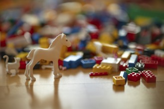Various coloured Lego building blocks, horse, cat, lying on floor, parquet, Stuttgart,