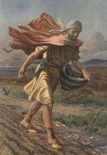 Scene from the biblical story, The Sower, refers to the biblical parable of Jesus of the Sower,