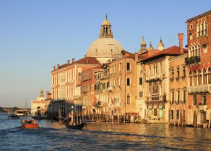 Palaces on the Grand Canal, Venice, Veneto, Italy