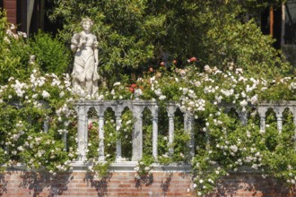 Rose flower and statue in the garden of Palazzo Malipiero, Venice, Veneto, Italy