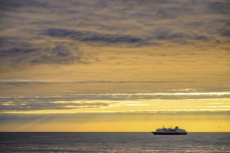 A Hurtigrute ship on the wide Barents Sea at sunset midnight sun, yellowish clouds and calm seas,