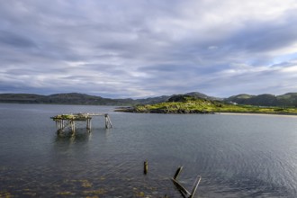 Ruins of a wooden walkway in a calm lake off a wooded island, Veidnes, Kongsfjord, Finnmark, Norway
