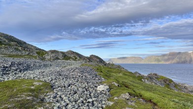 Rocky coastal landscape with sea views and a peaceful atmosphere in cloudy skies on Syltejjord on