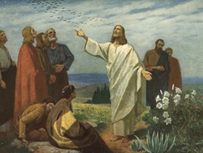 Scene from the biblical story, Jesus says, look at the birds under the sky: They don't sow, they