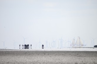 A group of people in the wide Wadden Sea at low tide with wind turbines and sailing ships, Texel