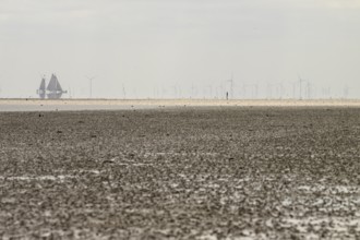 A sailing ship sails in the distance, while wind turbines in the quiet coastal landscape can be
