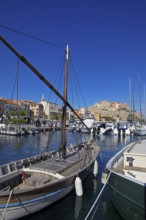 Calvi marina with citadel at the back, Balagne, Haute-Corse Department, Corsica, France