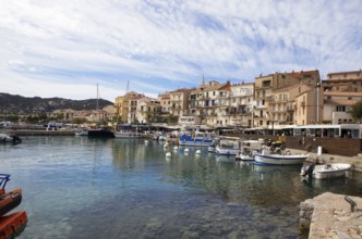 Colourful boats and restaurants in the port of Calvi, Balagne, Haute-Corse department, Corsica,