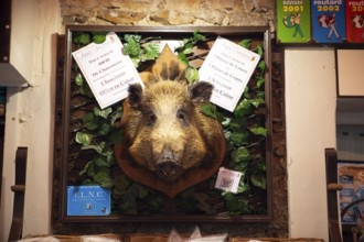 Boar head at the entrance to a delicatessen shop, Calvi, Balagne, Haute-Corse department, Corsica,