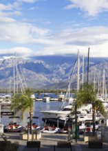 Calvi marina, with the mountains of the Balagne region in the Haute-Corse department, Corsica,