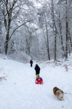 Family goes sledding in the woods, dog, Sieversen, Samtgemeinde Rosengarten, Lower Saxony, Germany