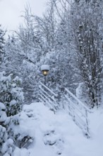 Snowy trees, garden, fence, lamp, snow, winter, Sieversen, Samtgemeinde Rosengarten, Lower Saxony,