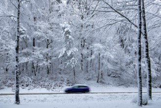 Car driving through snowy landscape, trees, winter, snow, Sieversen, Samtgemeinde Rosengarten,